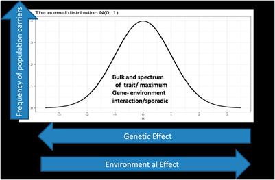 Individualized Medicine in Africa: Bringing the Practice Into the Realms of Population Heterogeneity